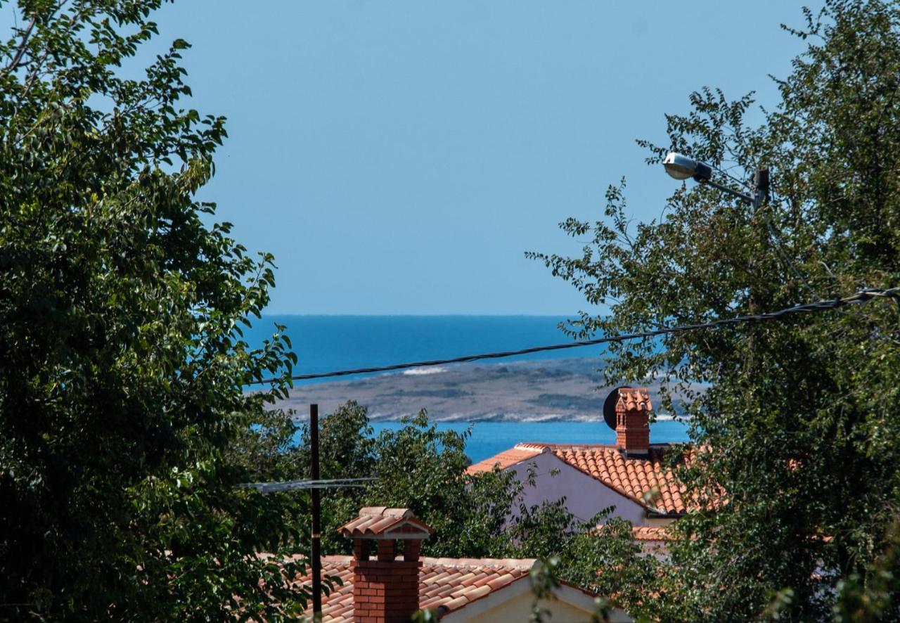 Villa Alexandria Ližnjan エクステリア 写真